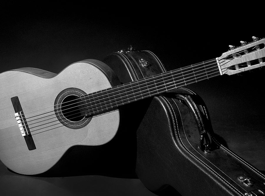 Branded guitar show