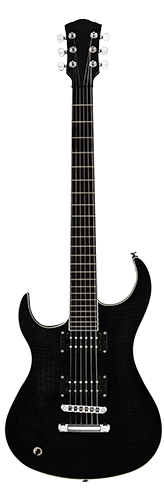 Electric Guitar